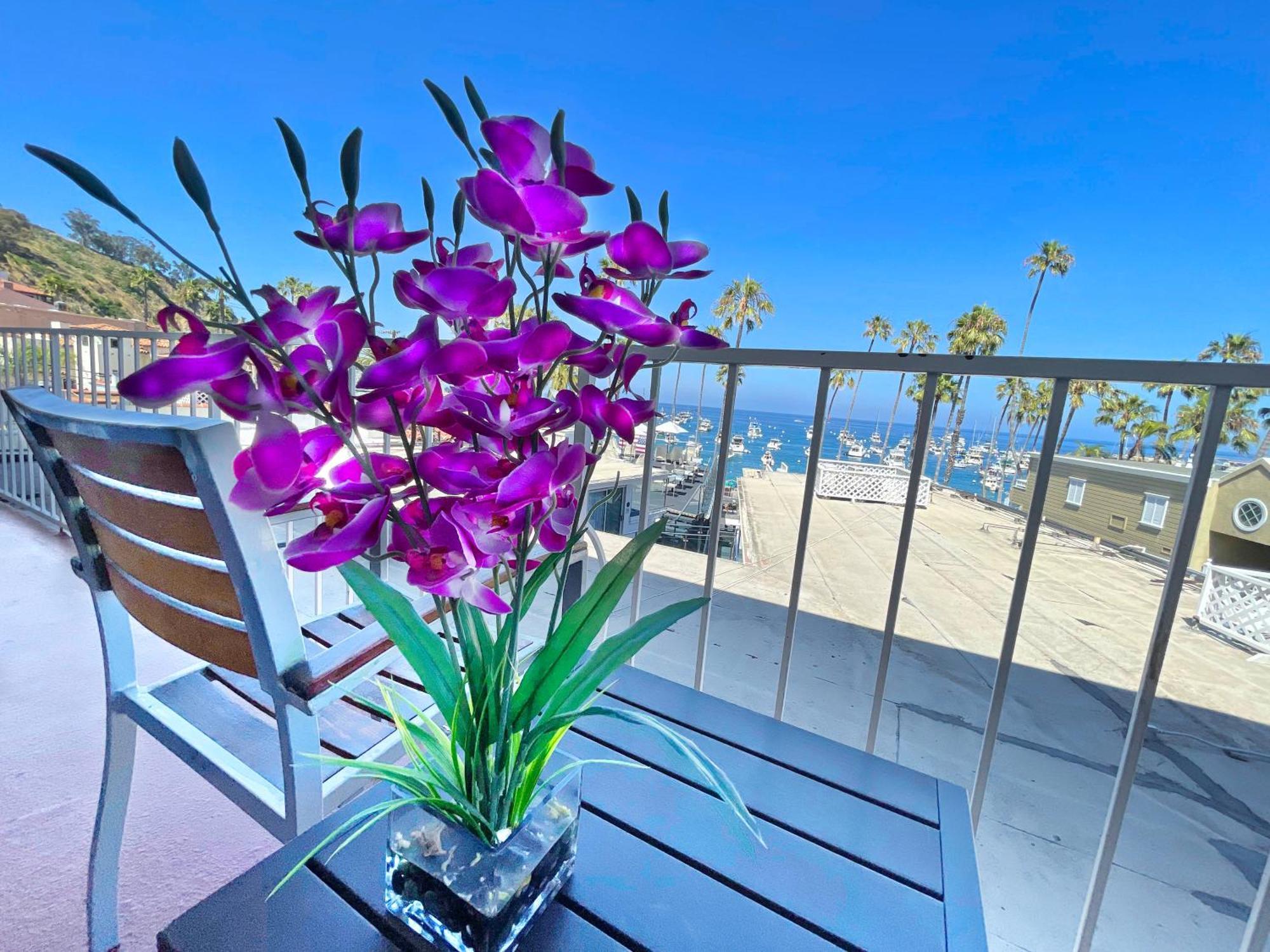 Catalina Courtyard Suites Avalon Dış mekan fotoğraf