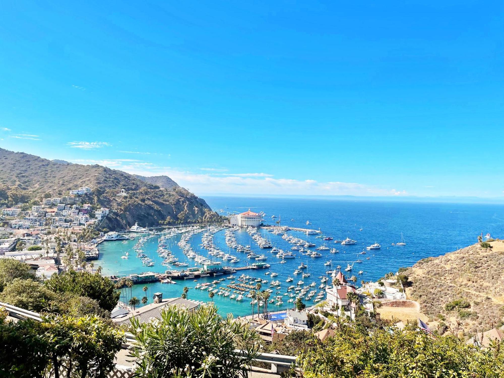 Catalina Courtyard Suites Avalon Dış mekan fotoğraf